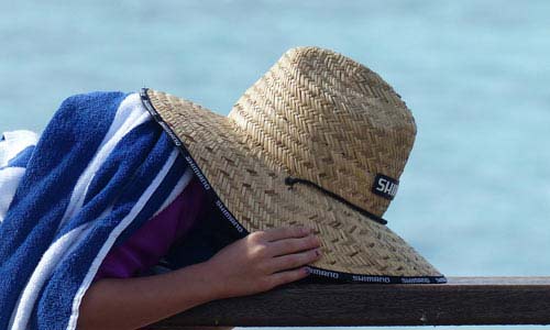 快速发货的轰炸软件